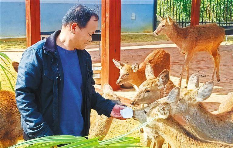 量发展产业调研】林下生金mg不朽情缘网站【高质
