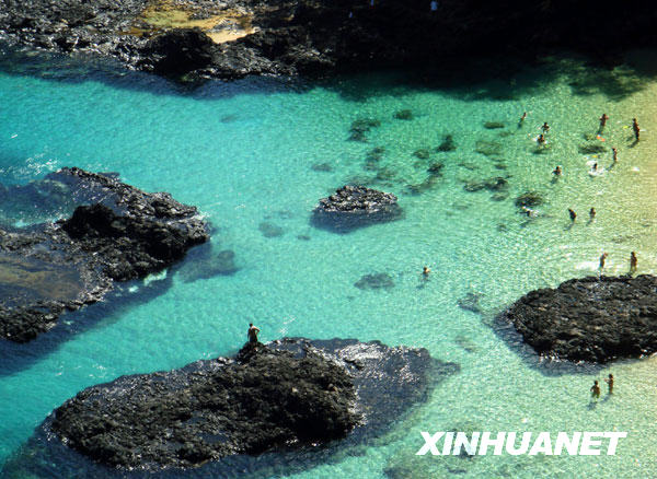 费尔南多—迪诺罗尼亚岛不朽情缘试玩网站美