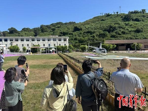 适配”将释放多少消费潜力不朽情缘游戏平台“供需(图2)